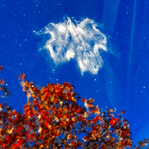 Meet your Posher, Edward - Picture 1 of 1